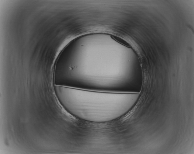 X0000098011102200803280725