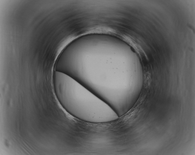 X0000098011103200803280725