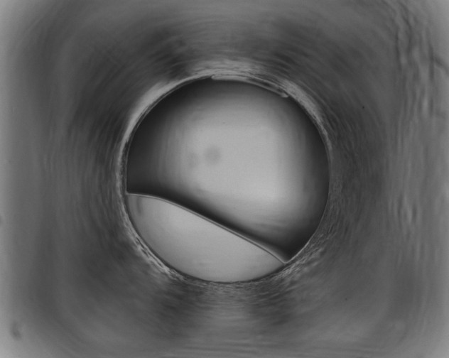 X0000098011104200803280725