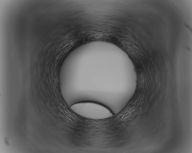 X0000098011105200803280724