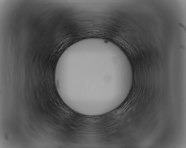 X0000098011107200803280724