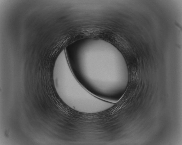 X0000098011108200803280724