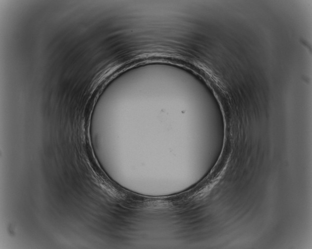 X0000098011113200803280724