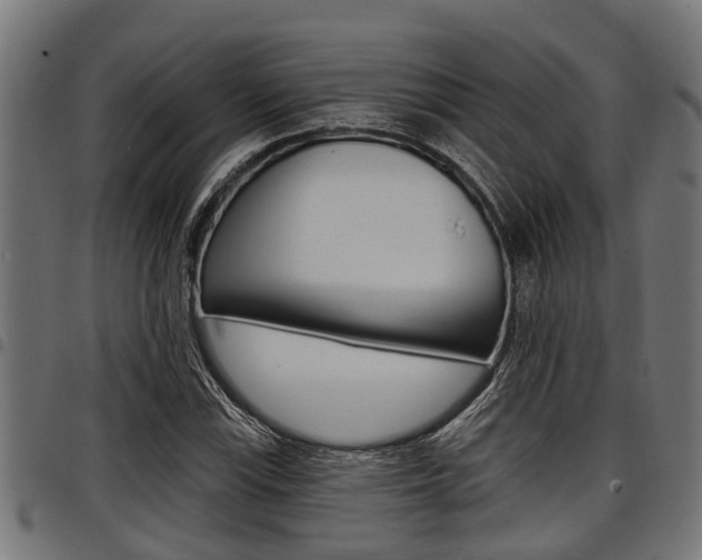 X0000098011115200803280724