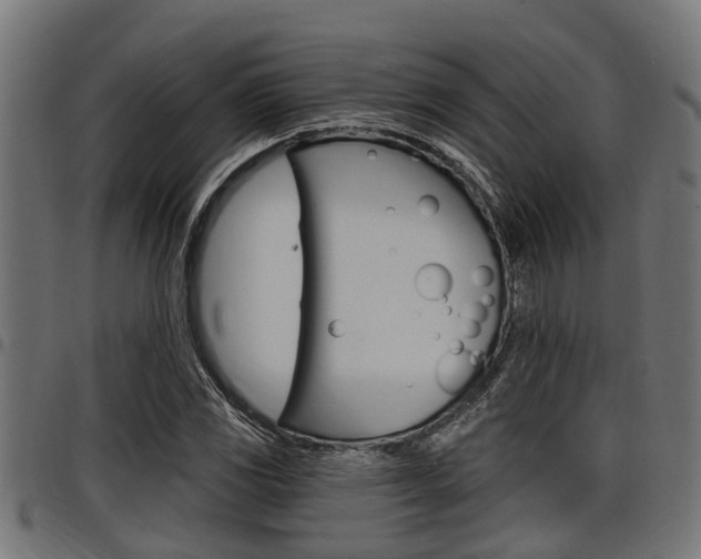 X0000098011117200803280724