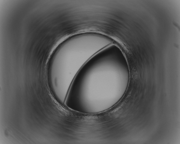 X0000098011118200803280724