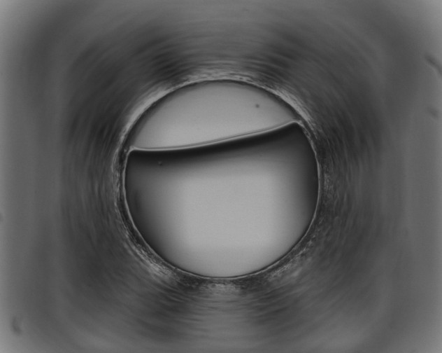 X0000098011119200803280724