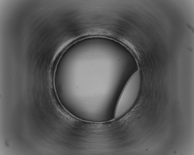 X0000098011120200803280724
