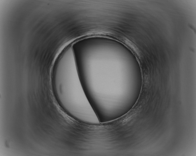 X0000098011124200803280724