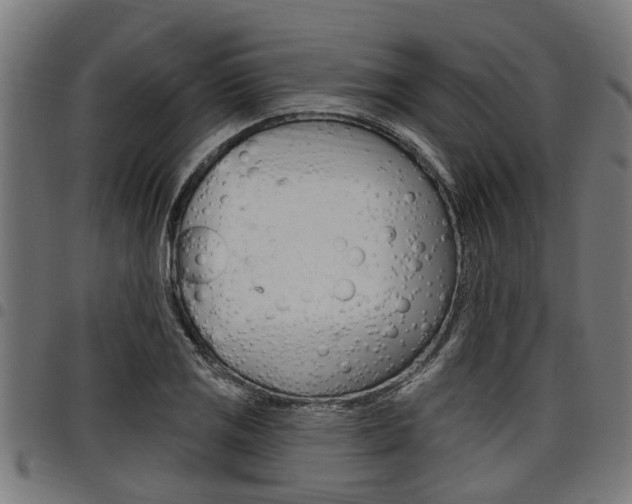 X0000098011125200803280725