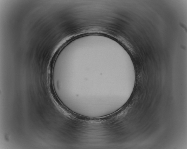 X0000098011126200803280725