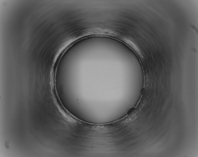 X0000098011128200803280725