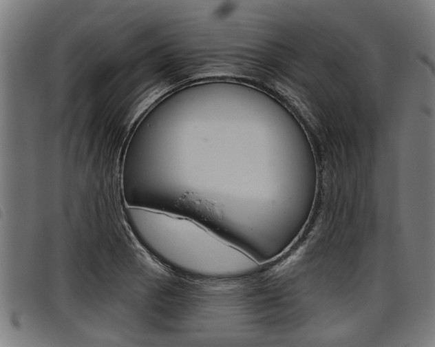 X0000098011129200803280725