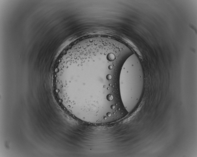 X0000098011130200803280725