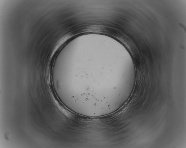 X0000098011131200803280725