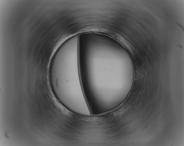 X0000098011132200803280725