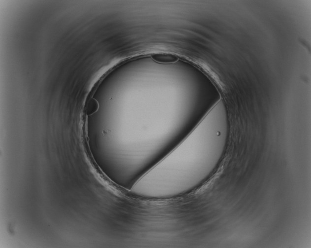 X0000098011134200803280725