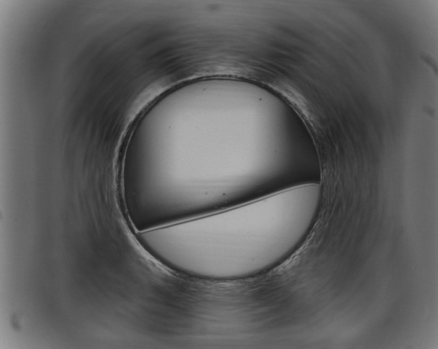 X0000098011135200803280725