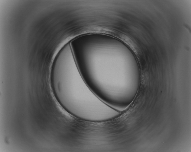 X0000098011136200803280725