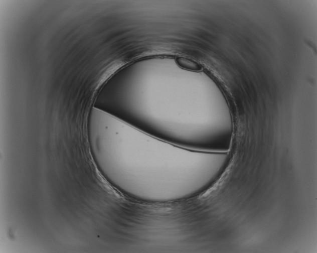X0000098011137200803280725