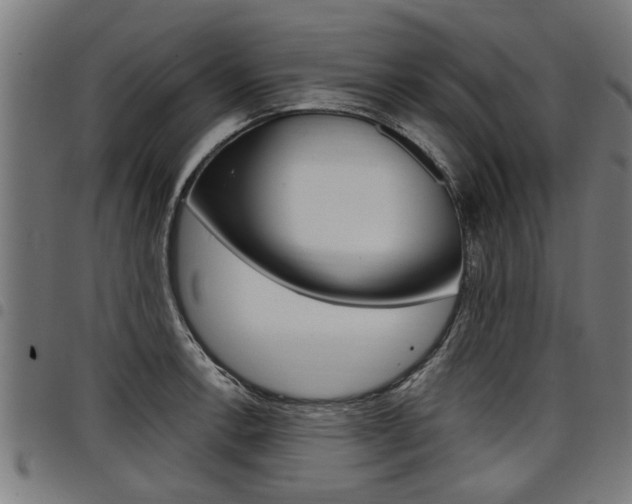 X0000098011138200803280725