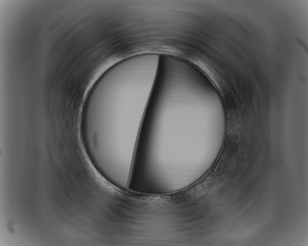 X0000098011139200803280725