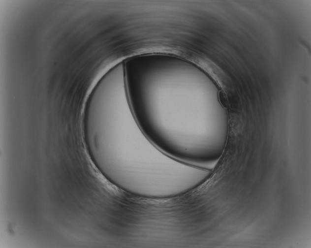 X0000098011140200803280725