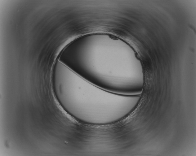 X0000098011142200803280725