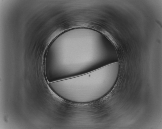 X0000098011143200803280725