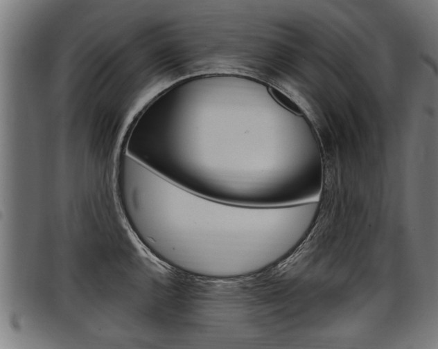 X0000098011144200803280725