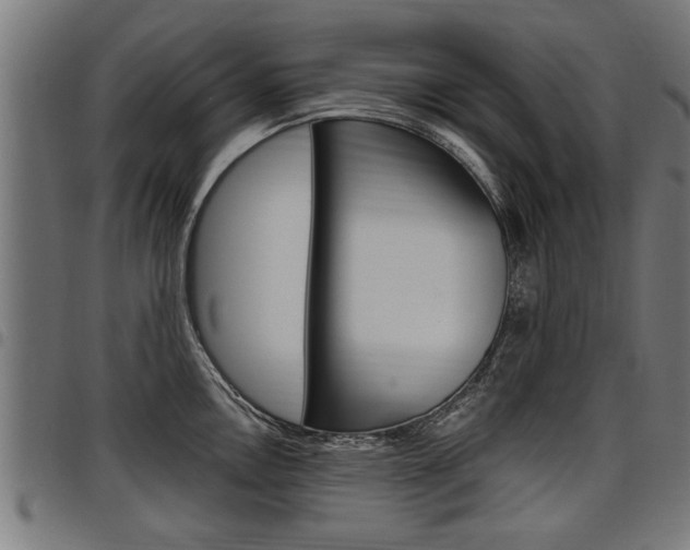 X0000098011146200803280725