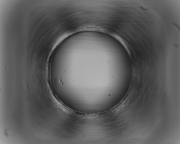 X0000098011147200803280725