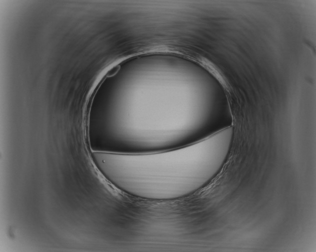 X0000098011148200803280725