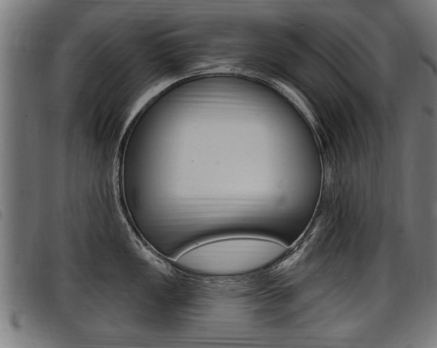 X0000098011149200803280725