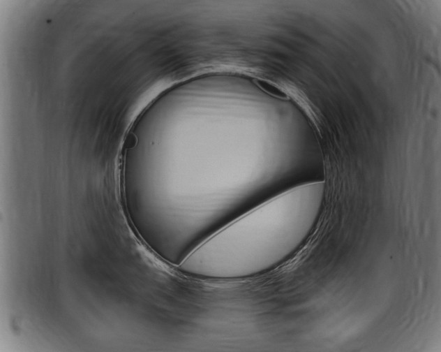 X0000098011151200803280725