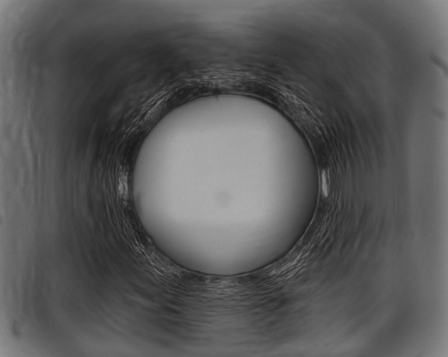 X0000098011155200803280724