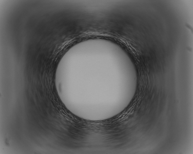 X0000098011157200803280724