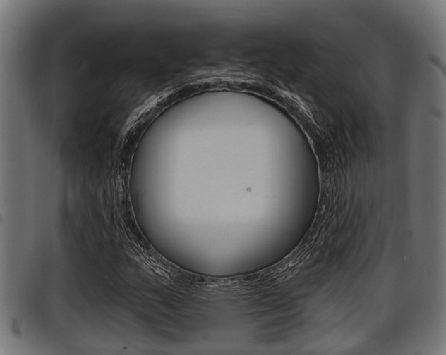 X0000098011159200803280724