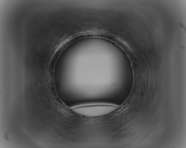 X0000098011160200803280724