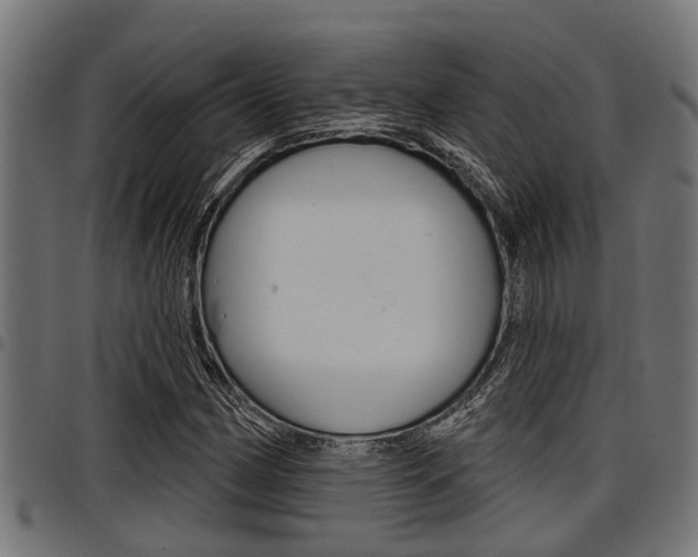 X0000098011162200803280724