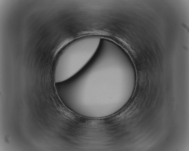 X0000098011163200803280724