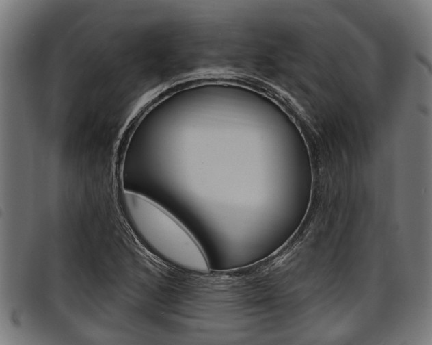 X0000098011168200803280724