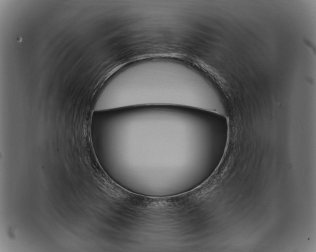 X0000098011169200803280724