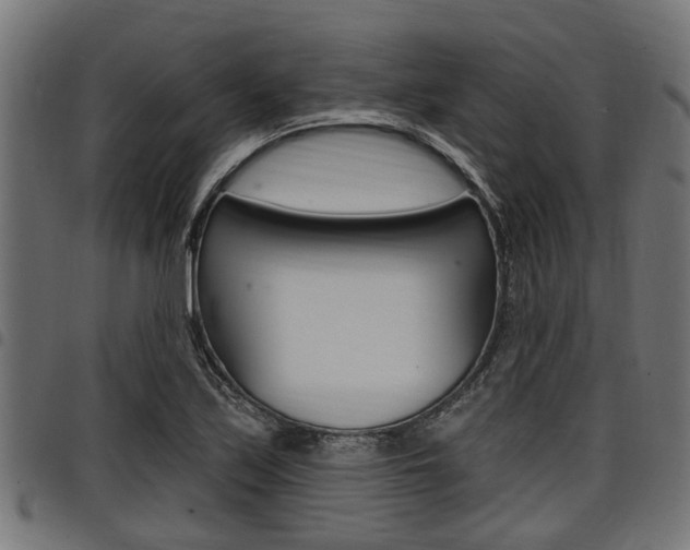 X0000098011171200803280724
