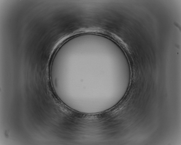 X0000098011174200803280724