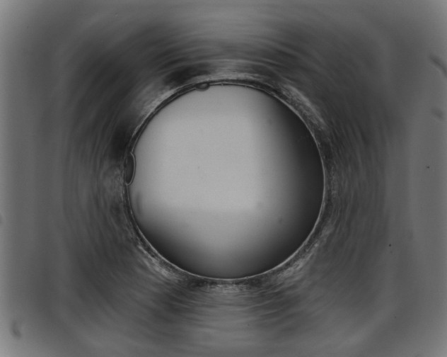 X0000098011177200803280724