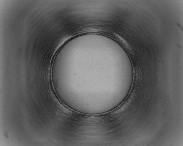 X0000098011178200803280724