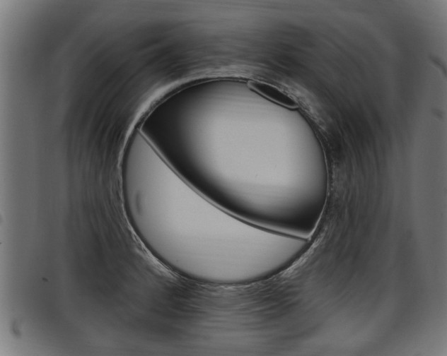 X0000098011184200803280723