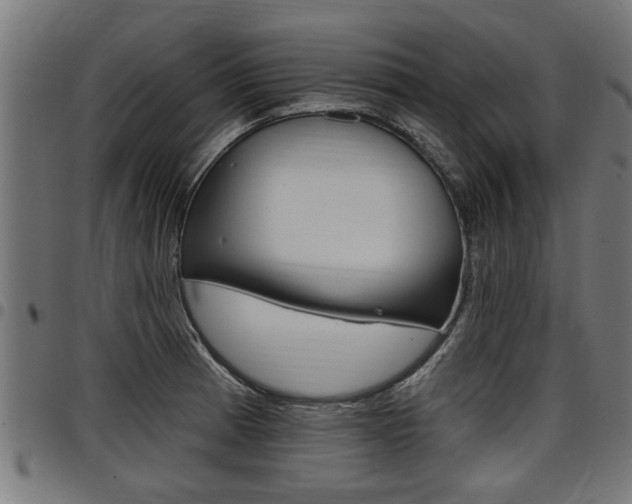 X0000098011185200803280723
