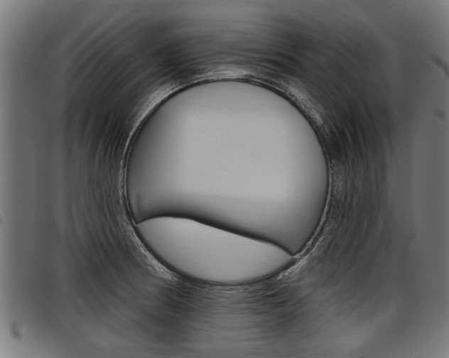 X0000098011186200803280723